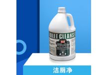 潔廁凈